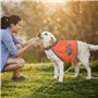 HDGSAFD Vêtements Réfléchissants pour Chiens 2 Pièces, Gilet De Sécurité De Voyage pour Animaux De Compagnie, Gilet Respirant Et