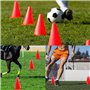 VIVIIHOO Lot de 12 cônes de marquage pour enfants - 19 cm - Pour le sport, l'équitation et l'entraînement du chien - Cônes multi