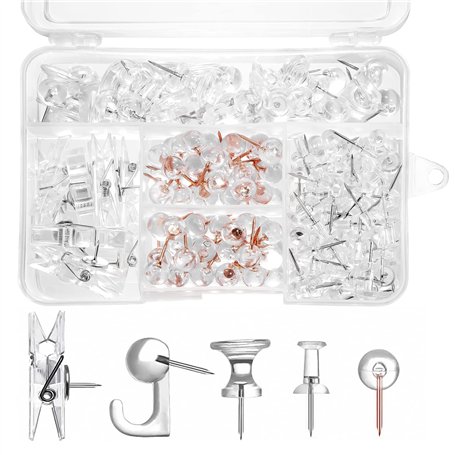 Punaises Transparentes