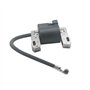 Beehive Filter - Bobine d'allumage de rechange pour moteurs monocylindre horizontal et vertical de 7 à 16 CV Briggs & Stratton 3