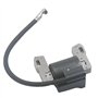 Beehive Filter - Bobine d'allumage de rechange pour moteurs monocylindre horizontal et vertical de 7 à 16 CV Briggs & Stratton 3