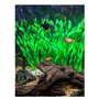 10 Pack Plantes en Plastique décorations pour aquariu