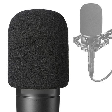 AT2035 Bonnette Micro en Mousse - Microphone Filtre Anti-pop Professionel pour réduire bruit pour Micro à Condensateur Audio Tec