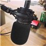 AT2035 Bonnette Micro en Mousse - Microphone Filtre Anti-pop Professionel pour réduire bruit pour Micro à Condensateur Audio Tec