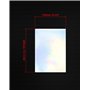 QWORK® 20 Feuilles de Papier Holographique Imprimable - Format A4 - Papier Autocollant en Vinyle Séchage Rapide et Imperméable p