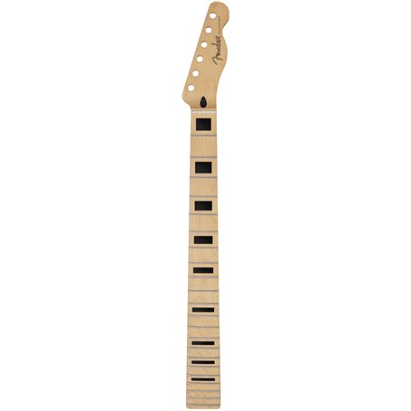 Fender Cou
