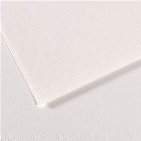 Canson Papier MI-Teintes (Nid-d'abeilles) - 10 Feuilles 50x65 160g/m² Blanc 335