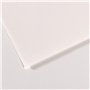 Canson Papier MI-Teintes (Nid-d'abeilles) - 10 Feuilles 50x65 160g/m² Blanc 335