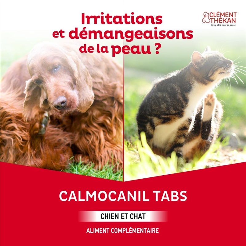 Stanley Bostitch véritable sp1906z/sp1906e Agrafes (Taille = 6 mm (1/10