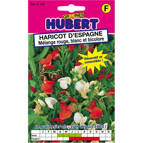 Haricots d'Espagne - Mélange Rouge