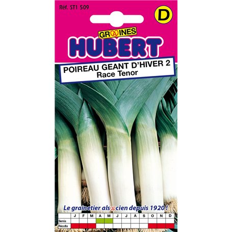 Graines de Poireau Géant d'Hiver Race Tenor - 1 gramme