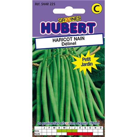 50 Graines de Haricot nain Délinel - Format Petit Jardin