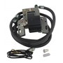 GREENSTAR - Bobine d'Allumage Électronique Adaptable Moteurs BRIGGS & STRATTON Bicylindres Horizontaux et Verticaux 400400 à 422