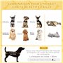 PawHut Panier Rond Chien lit pour Chien canapé pour Animaux sur Pieds Style Cosy Chic Grand Confort Coussin Moelleux intégré Ø 4
