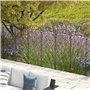 Outsunny Lot de 7 clôtures de jardin décoratives en métal avec ornements - 344L x 110H cm noir