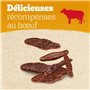 Pedigree Ranchos Originals – Récompenses riches en viande pour chien – Friandises au poulet – Tendres et savoureuses – 7 sachets