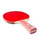 Tibhar Powerblade XT Raquette de tennis de table avec poignée concave TT interchangeable