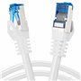BIGtec cable ethernet 10 pièces - 0,15m CAT 7 cable rj45 15 centimètre LAN câble internet gigabit CAT7 Câble réseau blanc