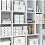 Leitz Boîte de rangement Click & Store, Format moyen A4 (28,1 x 20 x 37cm), pour l'organisation des objets de la maison et du bu