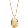 Pendentif Femme Skagen SKJ1752710 Doré