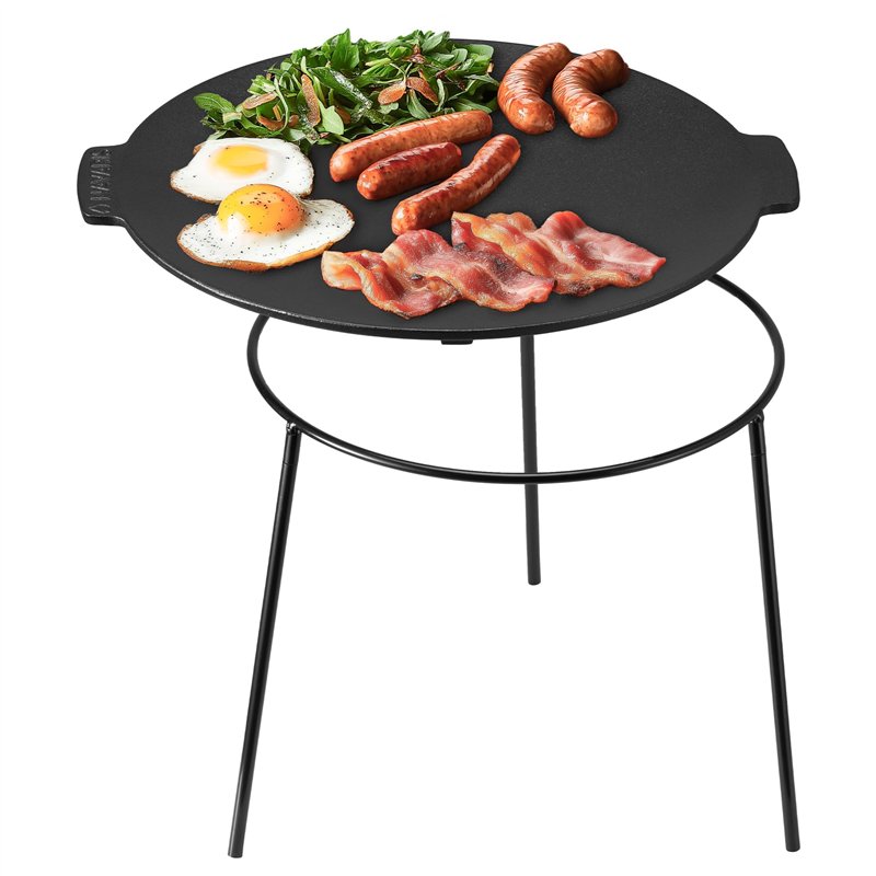 Plaque de Cuisson Grill 50 x 26 cm pour Barbecue Plancha Alissa Téfal