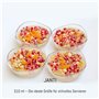 JANTI Set De Bol en Verre De 310 ml - Parfait Comme Bol petit Dejeuner, Saladier en Verre et Bol À Dessert - Résistant Aux Ray