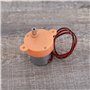 EMSea 2Pcs Petit Moteur de Réduction 3rpm Moteur à Engrenages à Vitesse Lente 3-12V DC Moteur à Engrenages à Vitesse Lente à Fai