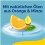 Scholl Bain de pieds revitalisant – Bain de soins des pieds avec cristaux de sel naturels et urée – Additif de bain pour bain de