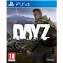 DayZ