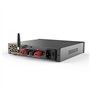 Amplificateur intégré de Classe D Effets sonores SDB Récepteur Audio Haute résolut