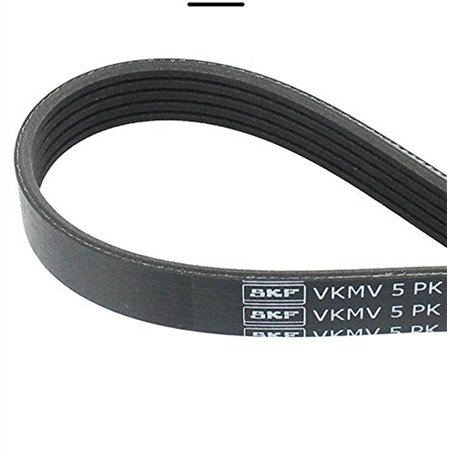 SKF VKMV 5PK1811 Courroie Multi-V