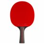 Raquette de Tennis de Table 5 étoiles
