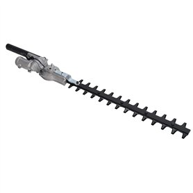 Tête de Taille-haie