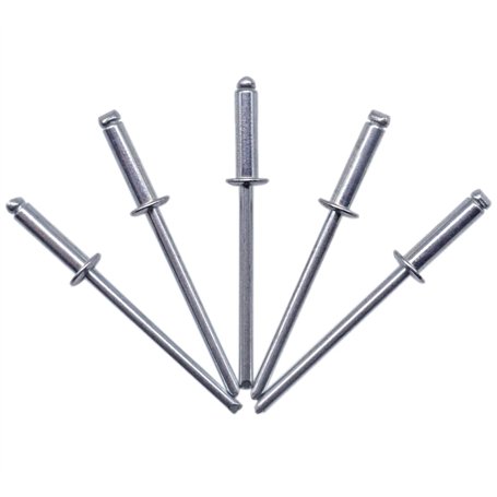Lot de 100 rivets aveugles 3