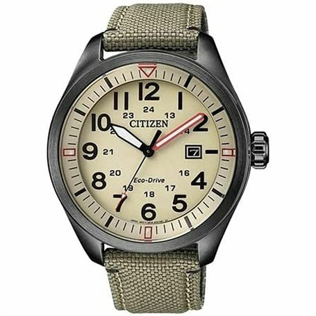 Montre Homme Citizen AW5005-12X
