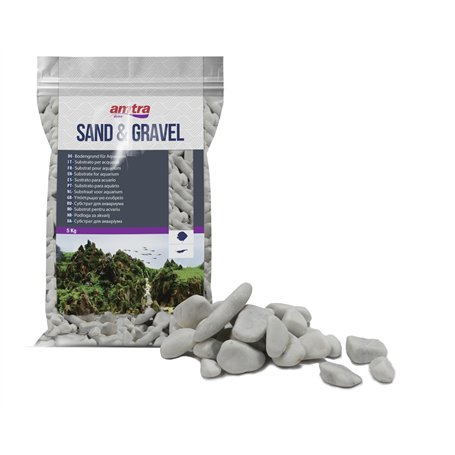 Amtra Pebble Décoration pour Aquariophilie