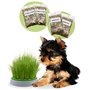 R&R SHOP - Kit Herbe pour Chien Double Graines - Pot de Germination