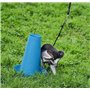 PIPPI Toilettes pour Chien Tapis pour Chien Toilettes faciles à Nettoyer pour intérieur WC pour Chien pour Une hygiène optimale