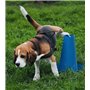 PIPPI Toilettes pour Chien Tapis pour Chien Toilettes faciles à Nettoyer pour intérieur WC pour Chien pour Une hygiène optimale