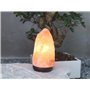 BEPER P201UTP100 Lampe de Sel de l'Himalaya Naturelle - Unique Faite à la Main avec Base en Bois Rose