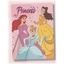 hermet Princess | Couverture Douce et Douce au Toucher | Plaid Coral | 100 x 150 cm | Disney
