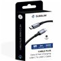 Câble USB-C vers USB-C Subblim SUBCAB-C10002 2 m Noir