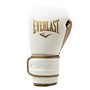 Everlast Powerlock 2R 12oz Boxing Gloves