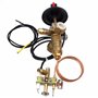 METER STAR 100000BTU LPG/NG Brûleur pilote de soupape d'admission de cuisinière à gaz avec thermocouple M10 x 1 de 0,9 m et fil