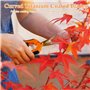 2 Pcs Sécateurs de Jardin avec Lames Courbes revêtues de Titane, Sécateurs et Ciseaux de Jardinage, Cisaille à Bonsai pour la Pl