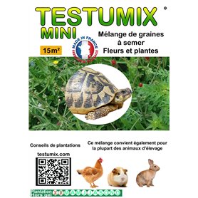 Graines de fleurs Testumix Mini pour tortues