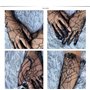 SINLOV Halloween dentelle gants de mariage manches longues tulle partie gants d'été bal dîner protection solaire gants robe