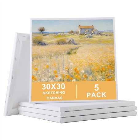Toile Peinture (Lot de 5) – Toiles à Peindre Vierges 30x30 cm avec Cadre à Clés