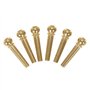 Alnicov Lot de 6 chevilles de chevalet en laiton avec extracteur de goupilles et 5 médiators pour guitare acoustique à 6 cordes