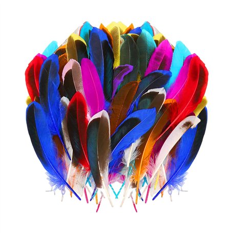 TYFGRT 100 Pièces Plumes Colorées
